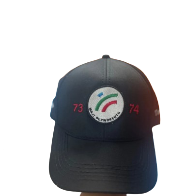 Topi